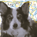 Vrolijke februari gedichten