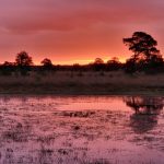 Vijf dagen in oktober