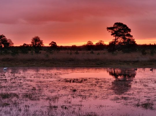 Oostingsveentje Canada