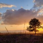 26 oktober: Dag van de stilte